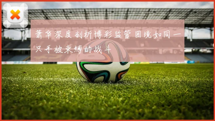 萧华深度剖析博彩监管困境如同一只手被束缚的战斗