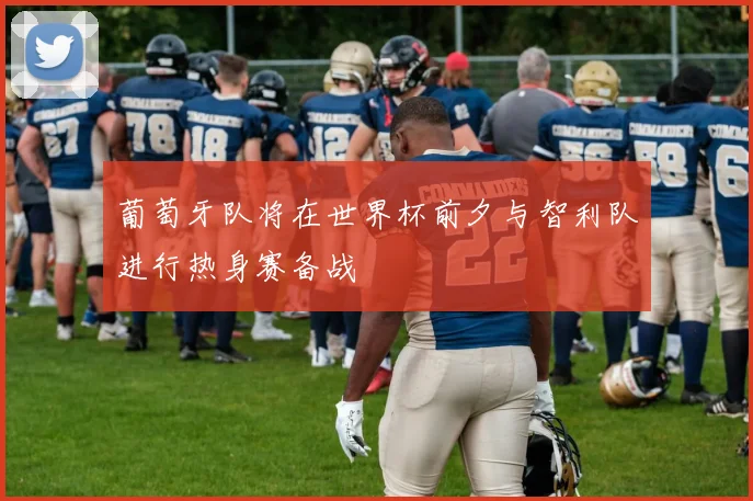 葡萄牙队将在世界杯前夕与智利队进行热身赛备战