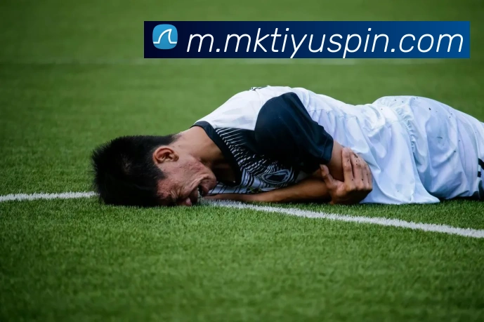 多媒体互动体验